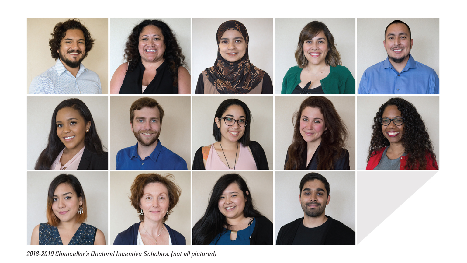 CDIP Scholars