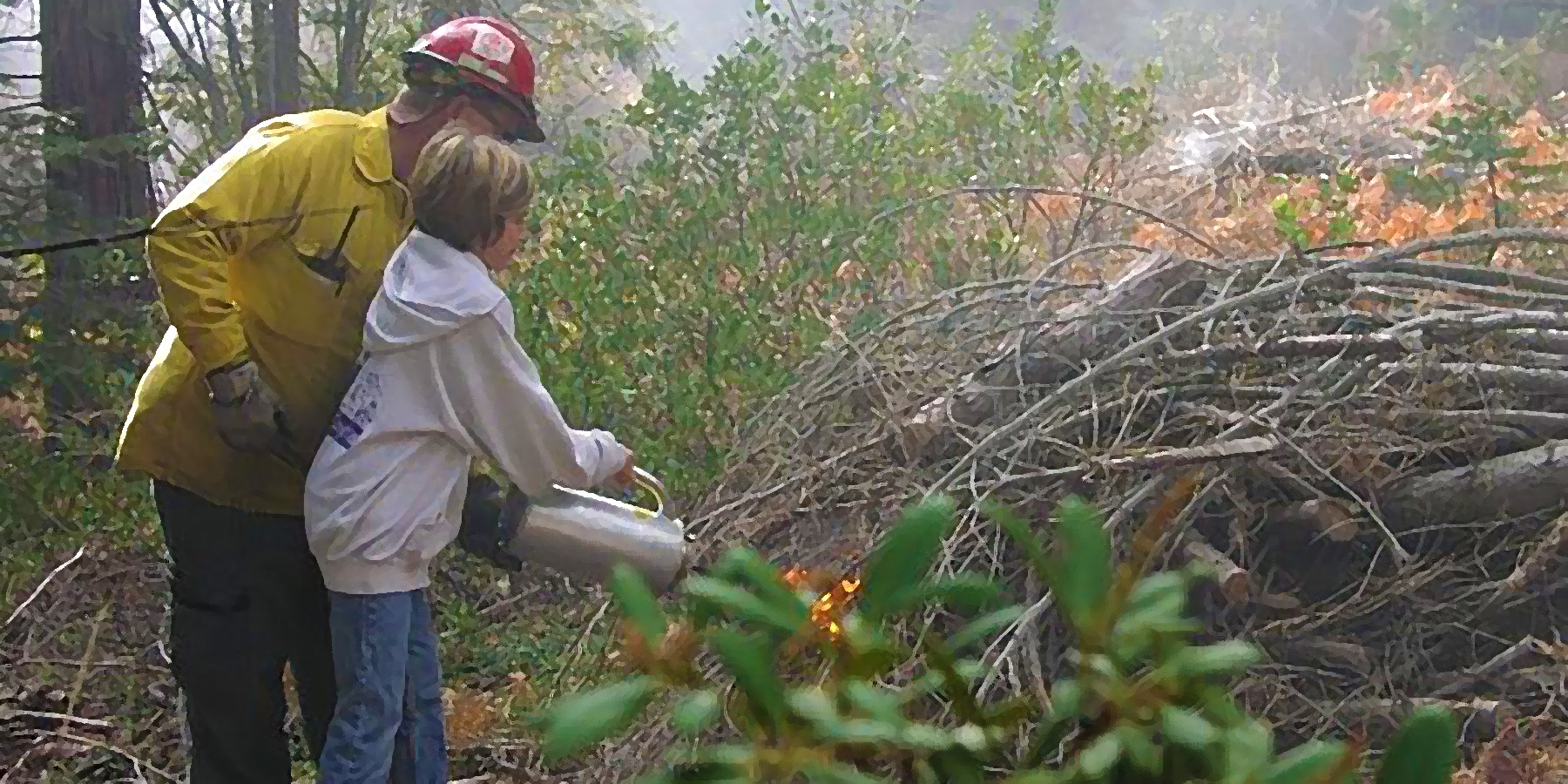 Understanding Fire Hero Image