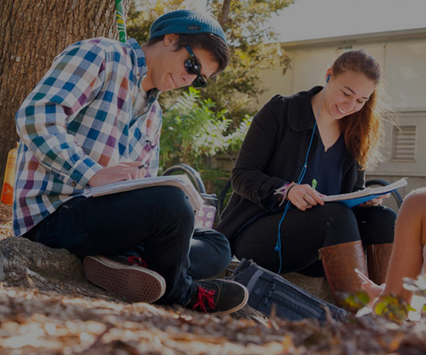 csu supplemental instruction