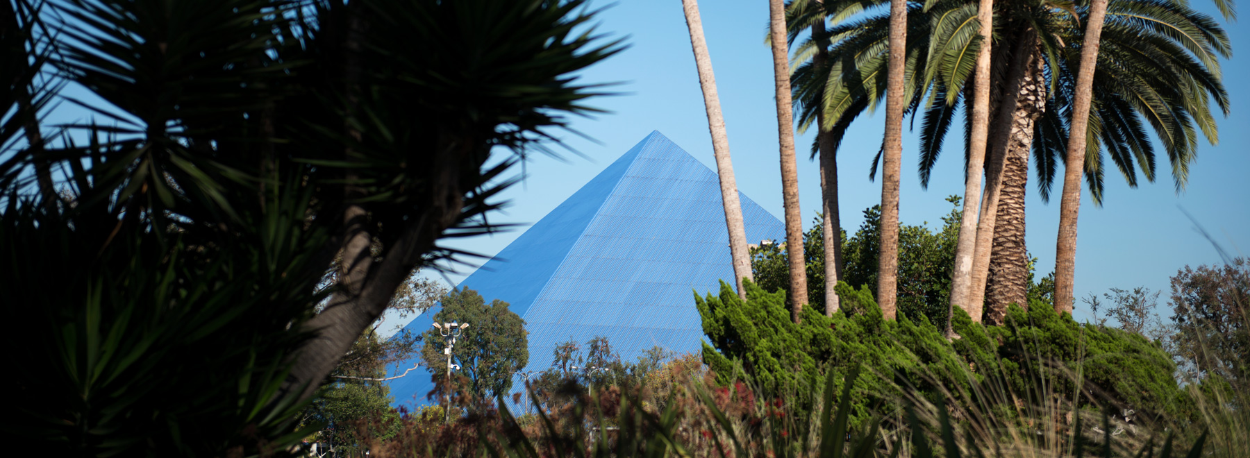 Cal State Long Beach 