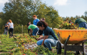 community based research at the csu