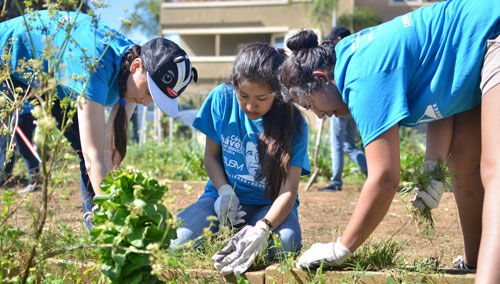 female students tending to a garden