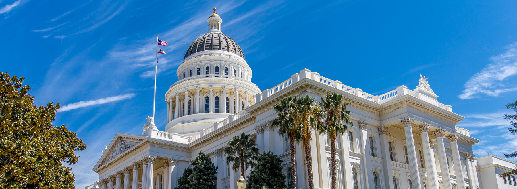 Advocacy and State Relations