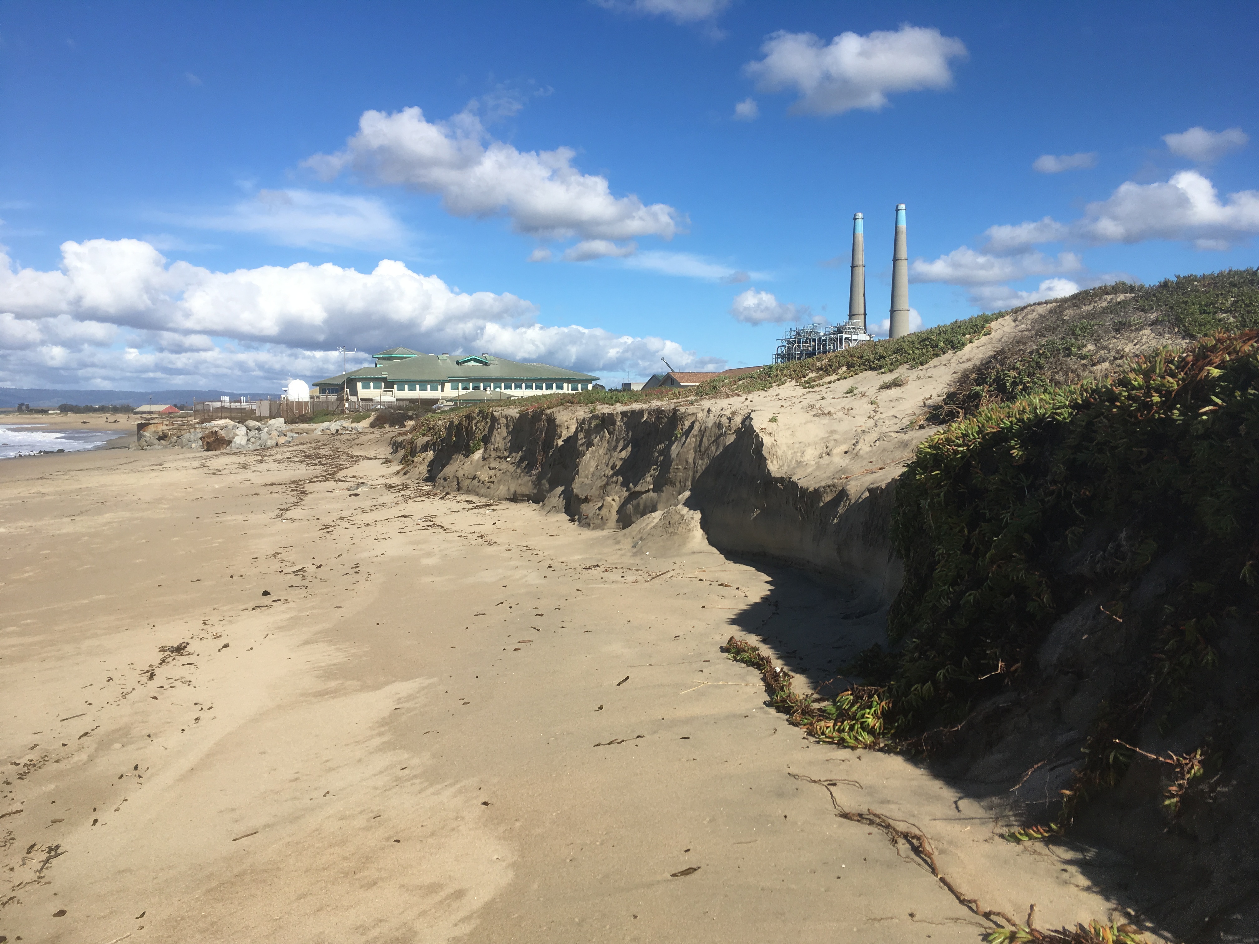 Moss Landing Beach