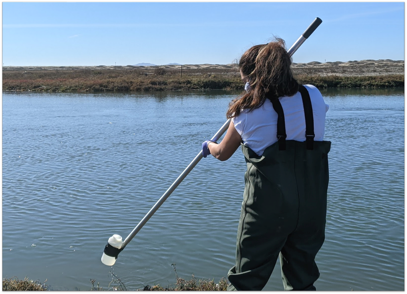 Grad student Alma Rocha getting samples