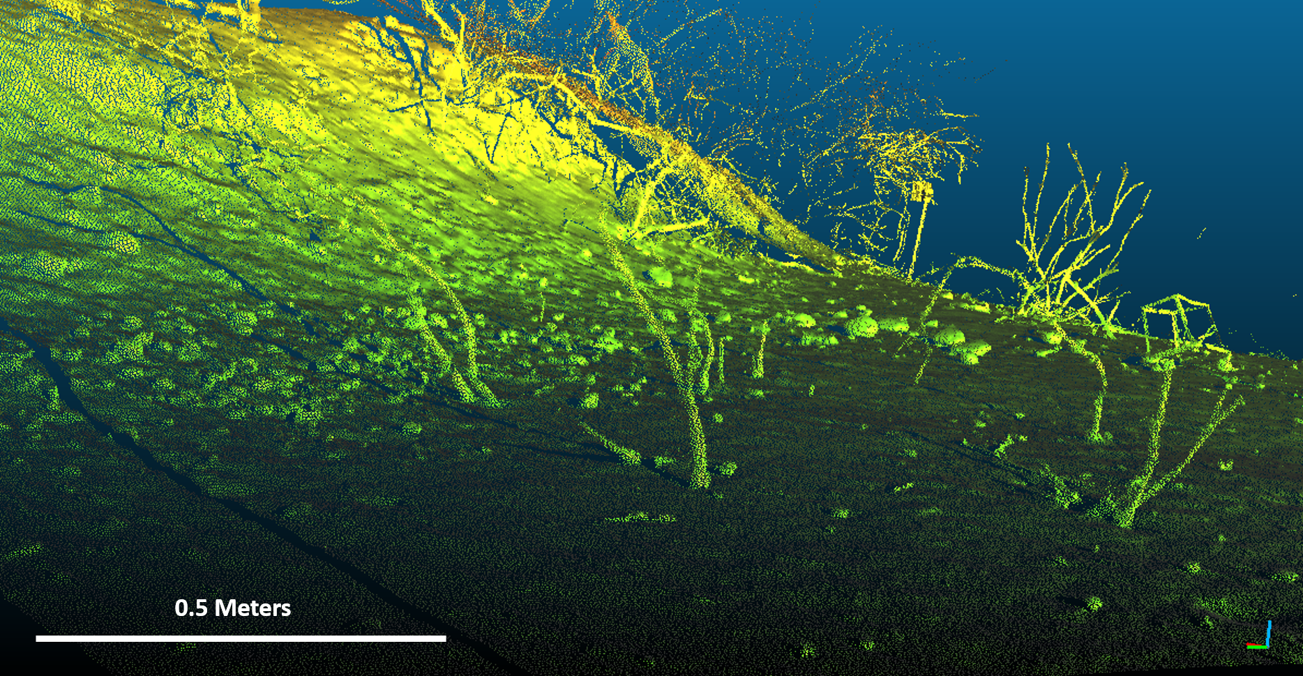 TLS Image Algae