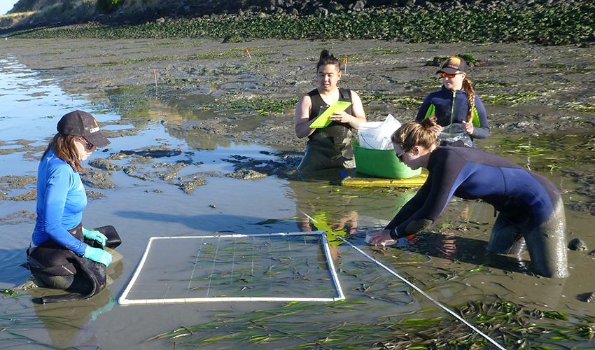 Marine Geo Students at SFSU